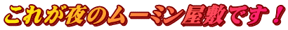 ꂪ̃[~~łI